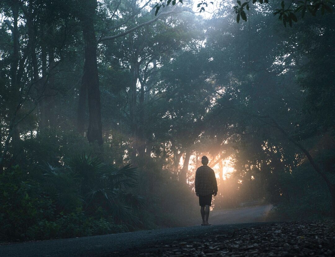 sunset walk alone